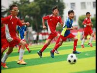 【早！8点】男篮世界杯中国男篮迎来首胜 巴黎、多特、米兰、纽卡造欧冠死亡之组